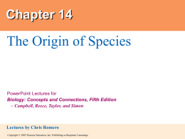Chapter 14 ppt