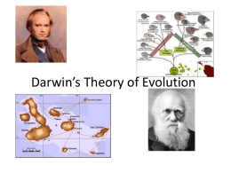 Darwin`s Theory of Evolution