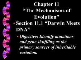 “The Mechanisms of Evolution” Section 11.1 “Darwin Meets DNA”
