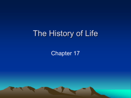 The History of Life - Maria Regina High School