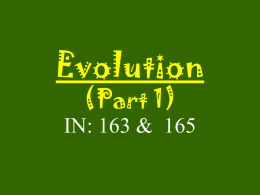 EVOLUTION PP