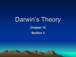 Chapter 15 The Theory of Evolution1