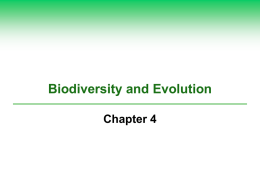 Chapter 4 Biodiversity POST