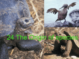 24 The Origin of species