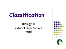 Classification power point