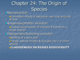 Chapter 24: The Origin of Species