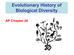 Evolutionary History of Biological Diversity