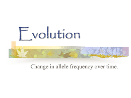 Evolution - Ms
