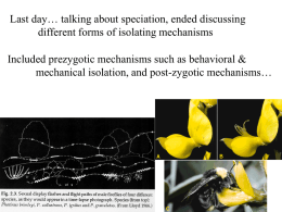 Speciation/Systematics