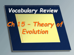 Evolution Vocabulary Review PPT