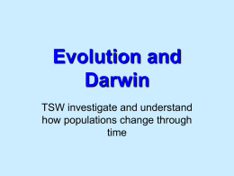 darwin - dodsonwohs