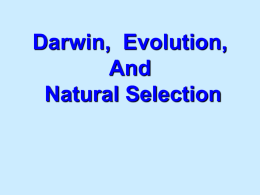 Darwin and Evolution - Mamanakis