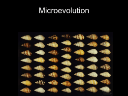 Microevolution Evolution within a population