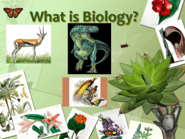 Biology_Review-1