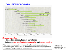 Genic contribution to expansion in genome size