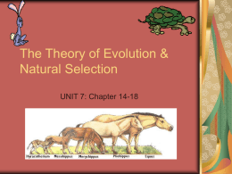 unit 7 theory of evolution