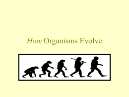 How Organisms Evolve - Scituate Science Department