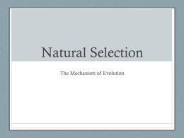 3-4 Natural Selection and Evidence(edit).