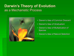 Darwin`s theory of Evolution Powerpoint