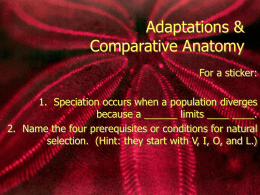 Adaptations & Comparative Anatomy