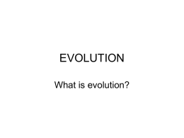 Evolution Notes 2012