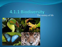 4.1_Biodiversity