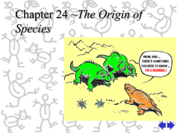 Chapter 24 Origin of Species