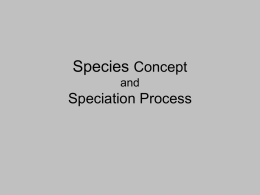 Species Concept and Speciation