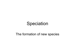 Speciation