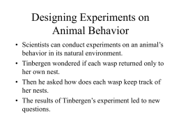 Designing Experiments on Animal Behavior