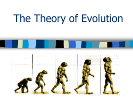 Evolution and Creation PPT