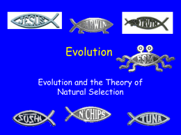 Evolution - phsgirard.org