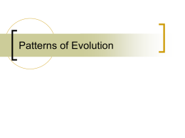 Patterns of Evolution