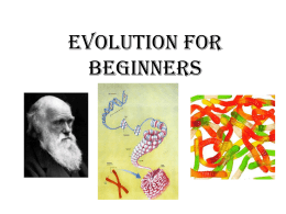 Evolution for Beginners