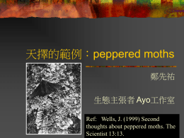 天擇的範例：peppered moths