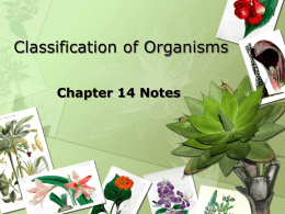 Chapter-14-Notes-2011
