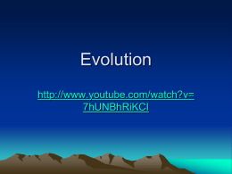 Evolution - treshamurphy