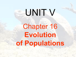 Ch. 16 Evolution of Populations