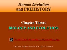5.54 MB - Human Evolution and Prehistory, Second Canadian Edition