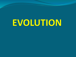 evolution - biorocks