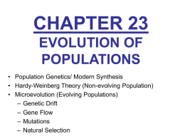 Unit 9 Population Genetics Chp 23 Evolution of
