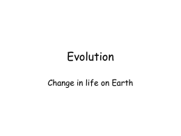 Evolution - Granbury ISD