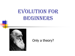 EvolutionForBeginners