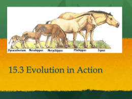 Evolution in Action ppt
