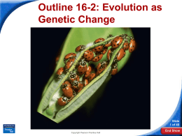 16-2 Evolution as Genetic Change Outline 16-2