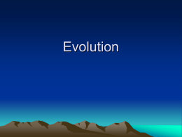 Evolution - Turner