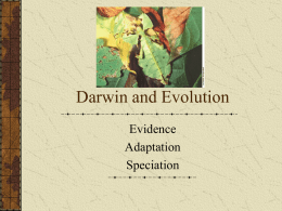 Darwin and Evolution 2