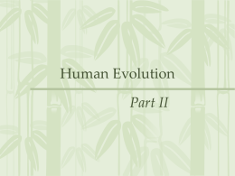 Human Evolution - Emmanuel Biology 12