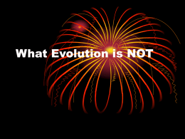 What Evolution is NOT