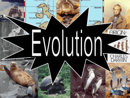 Evolution - RHSChemistry
